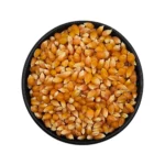 ذرت پاپکورنی عمده